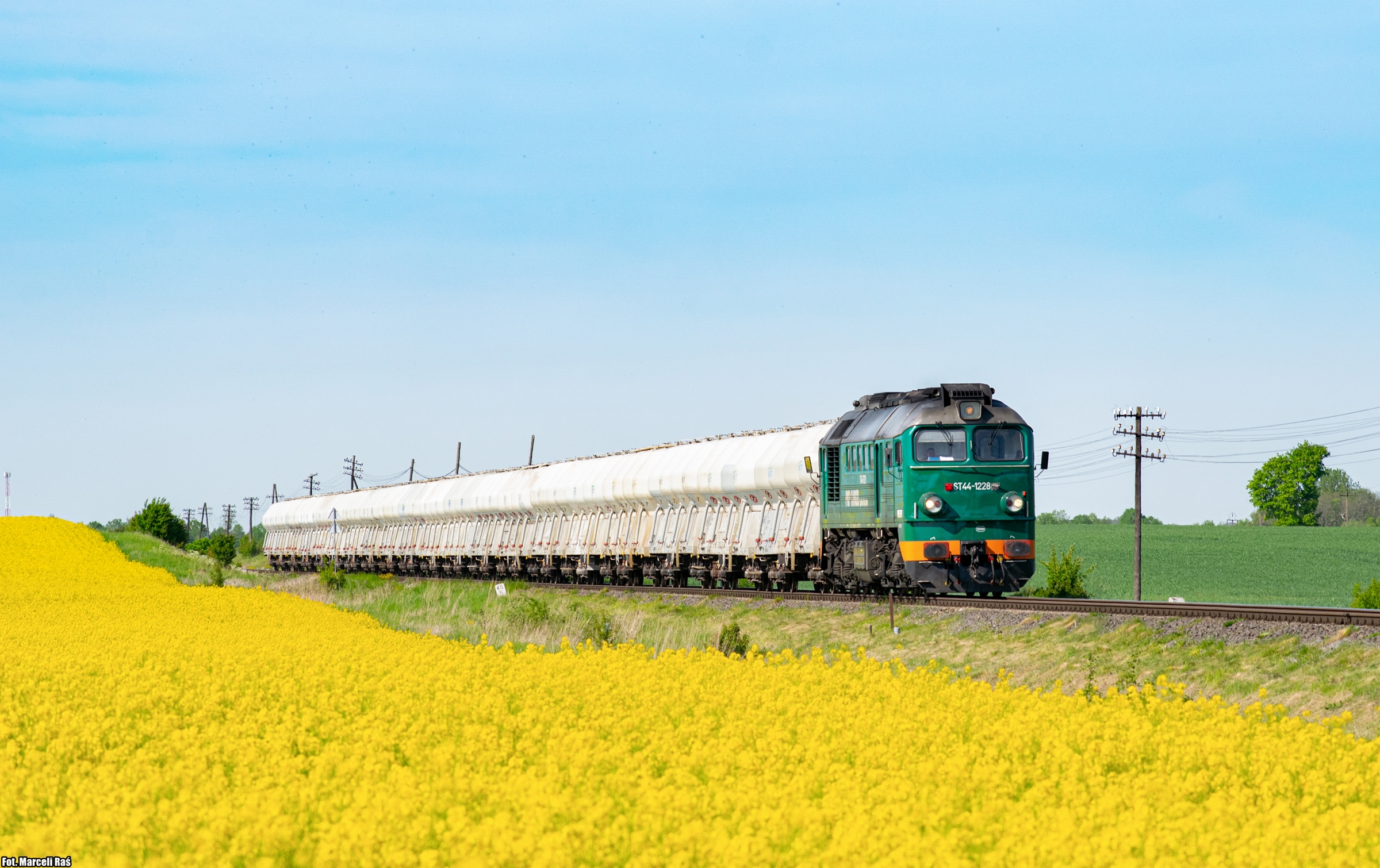 Zielona Kołomna w rzepaku