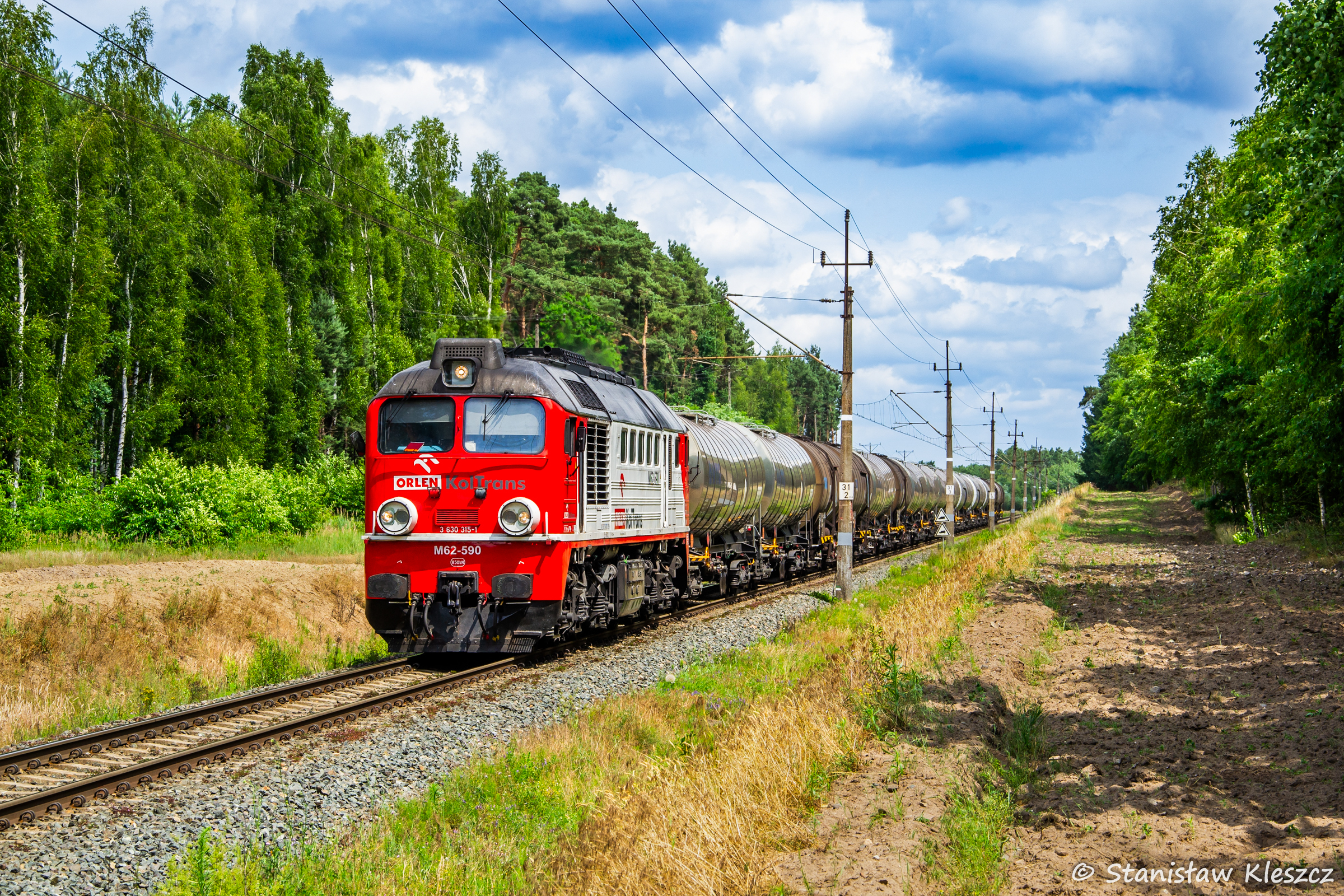 Orlen pod Gostyninem