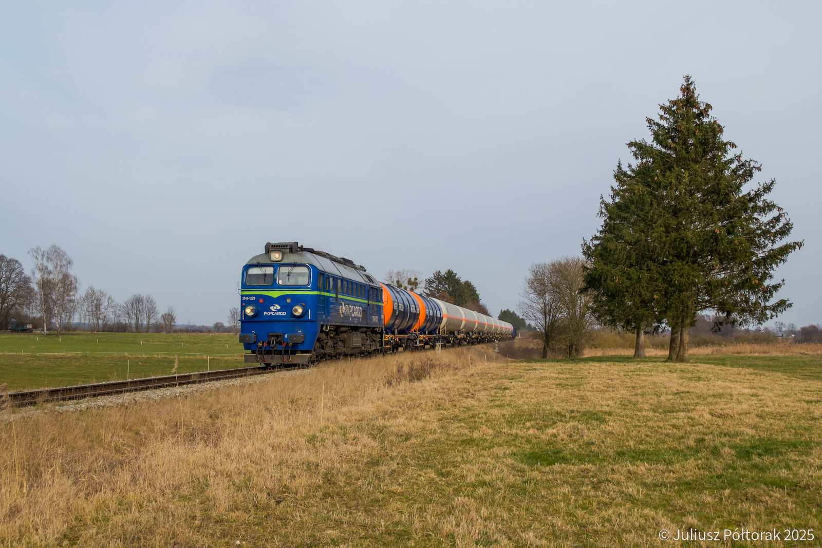 Krótka wizyta ST44-1229 na LK204 (2)