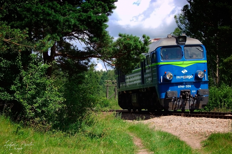 Podczas przemierzania granicy Litewsko-Polskiej