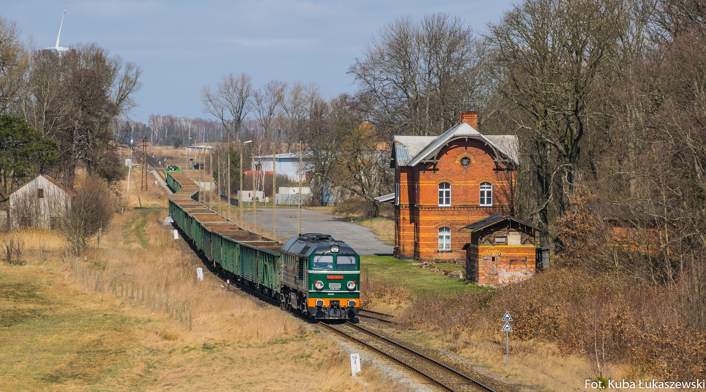 Oliwkowy Gagar na Łużycach