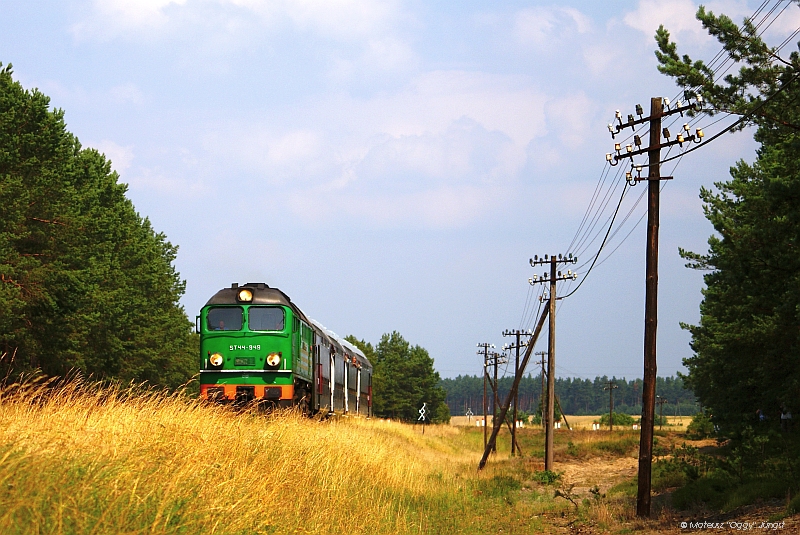 Gdzieś w Borach Tucholskich...
