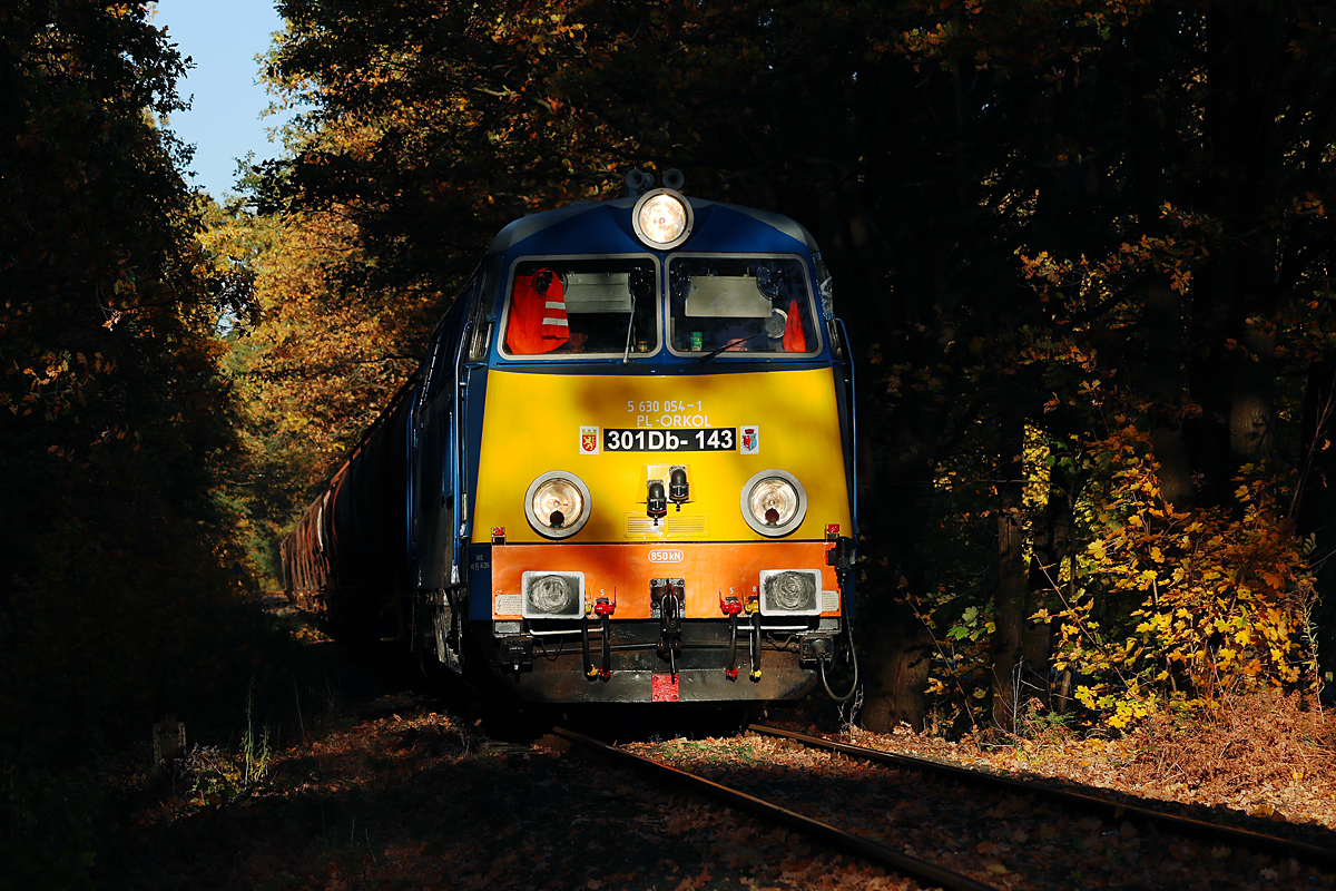 Między światłem a cieniem