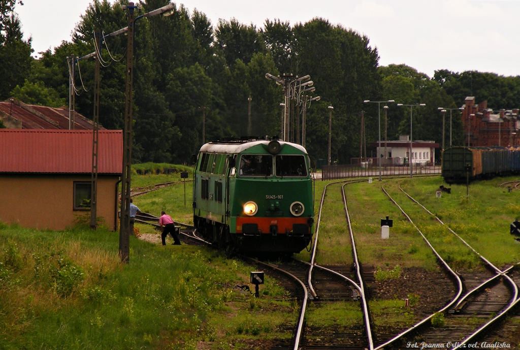 SUka na manewrach...