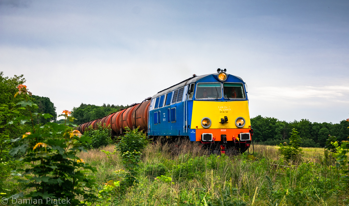Z zaskoczenia na Woodstock'u