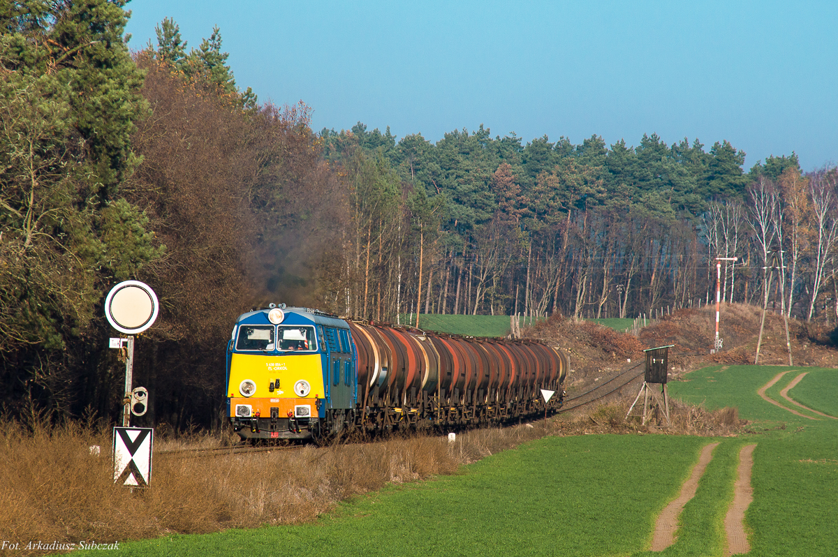 Wierzbno w samo południe.