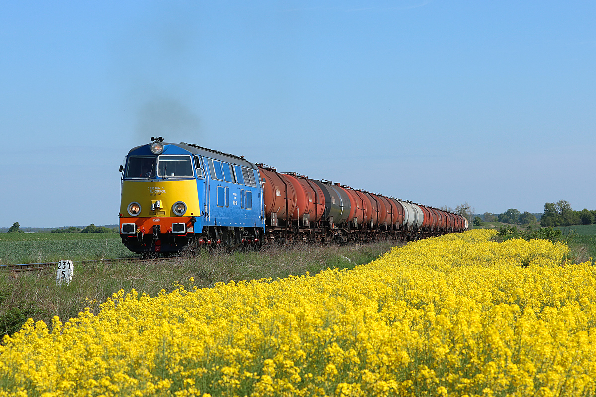 Rzepakowa Krześnica Sarbinowo