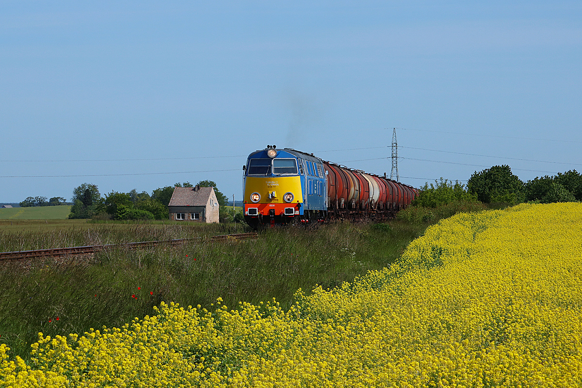Rzepak na Młyniskach