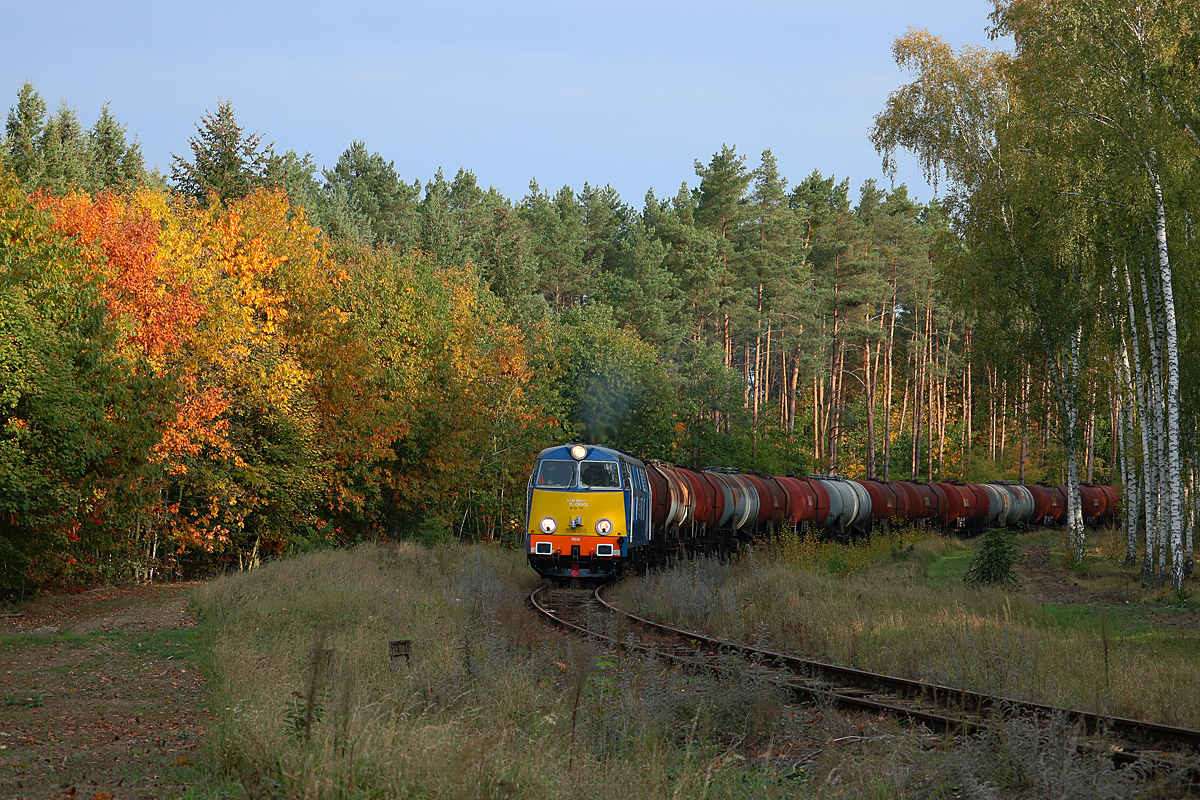 Leśny jesienny łuczek pod Dębnem