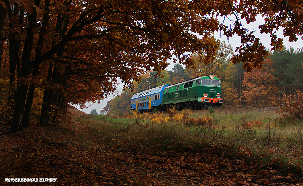 Jesień – paleta farb rozrzucona