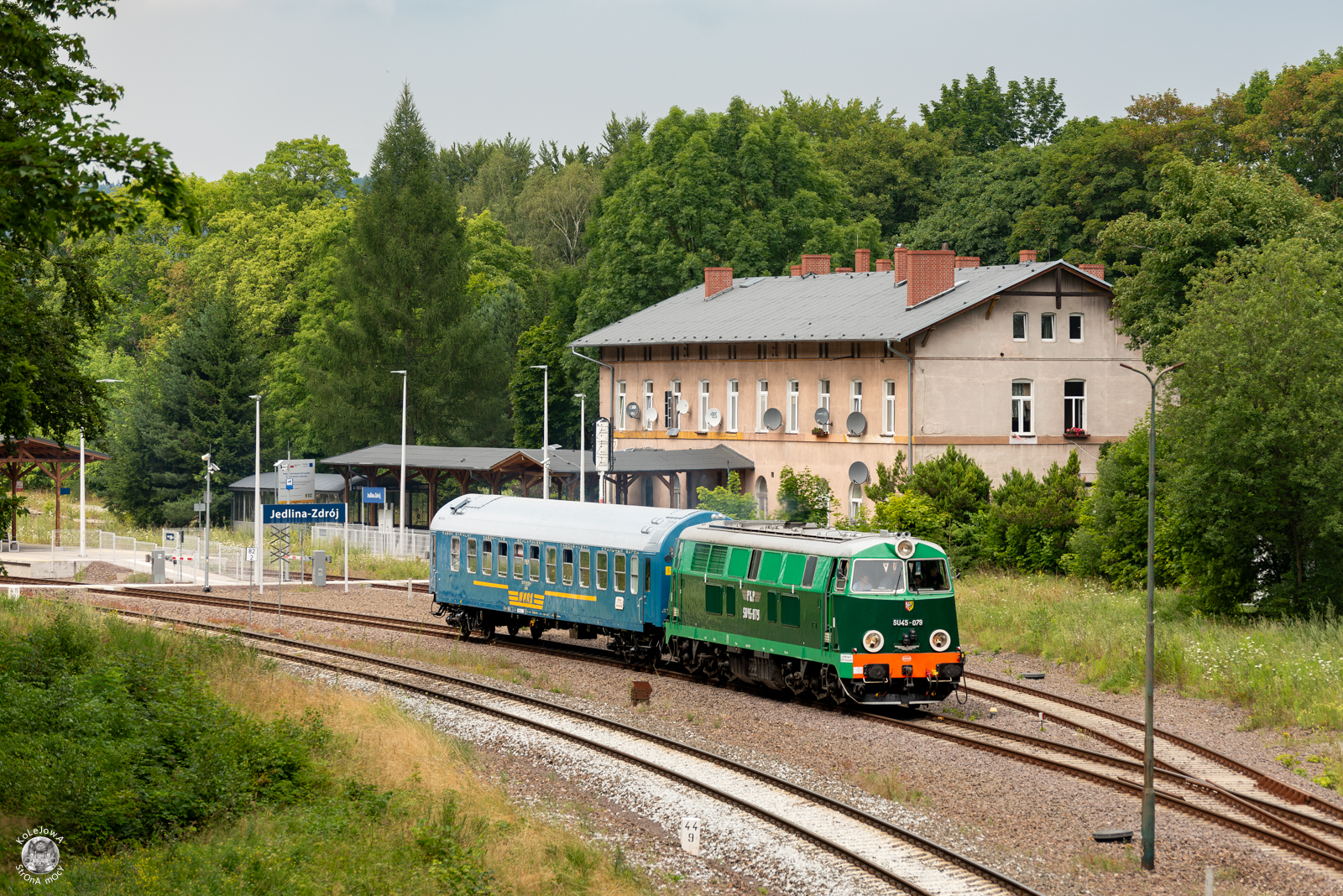 "Zaszynobus"