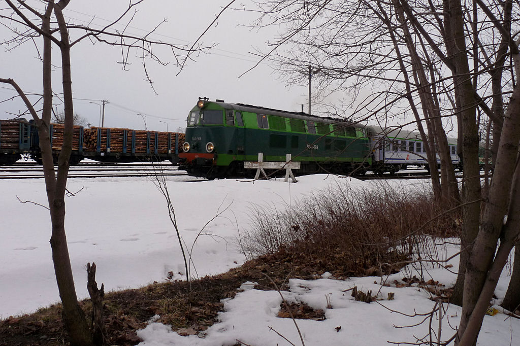 Suwalskie "zza krzaczka"