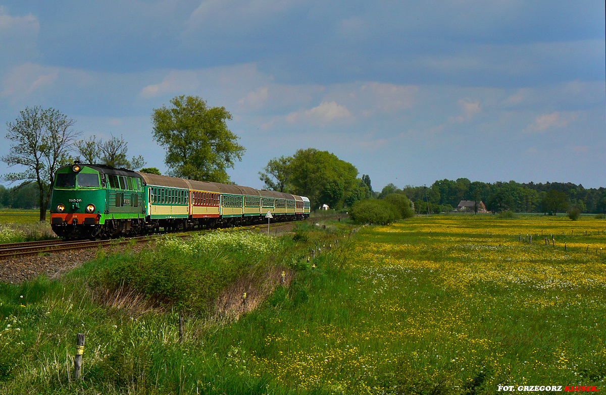 Chodźmy, chodźmy rozmarzeni Poszukajmy tej zieleni.