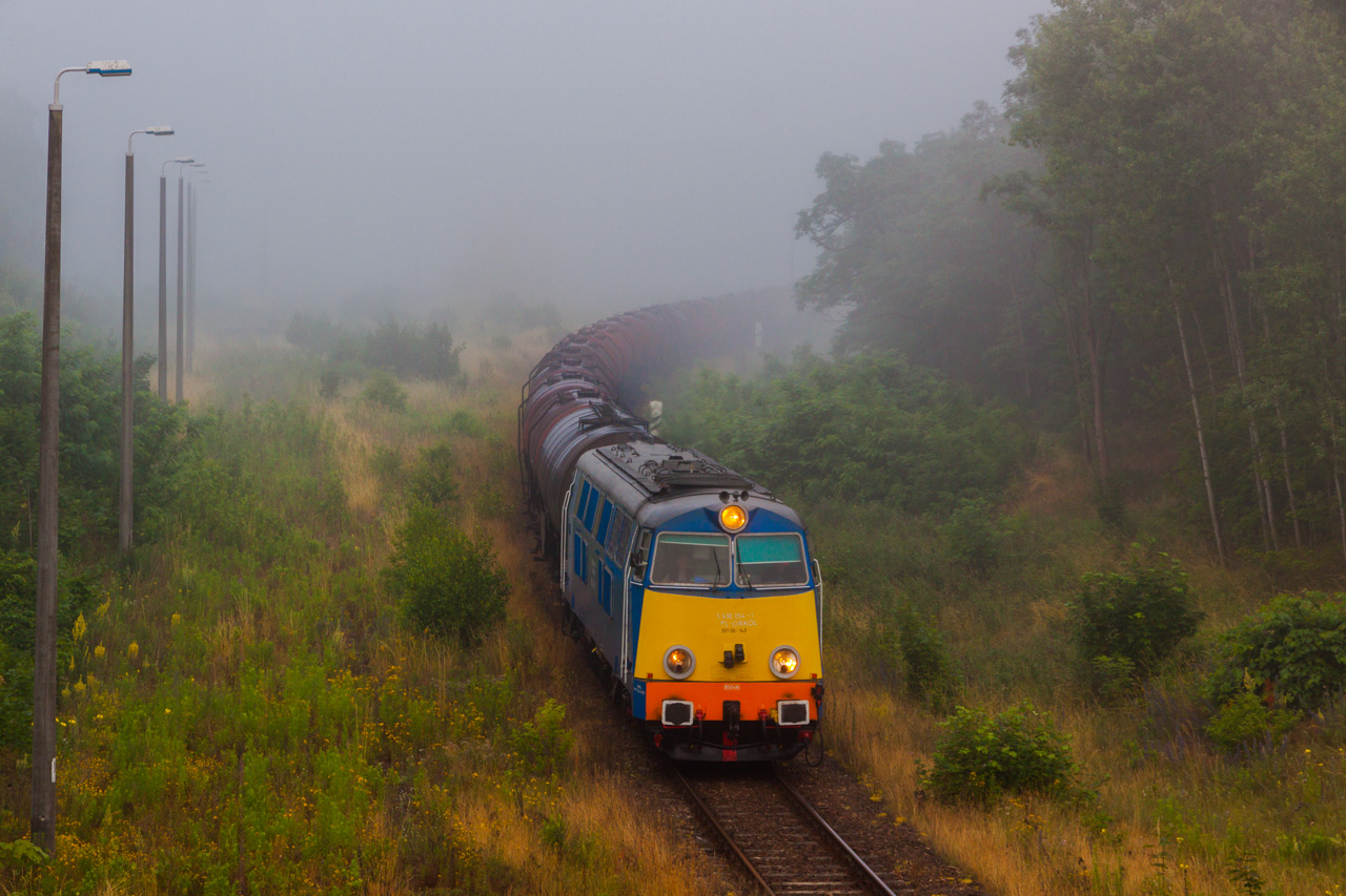 Poranna mgła nad Kostrzynem