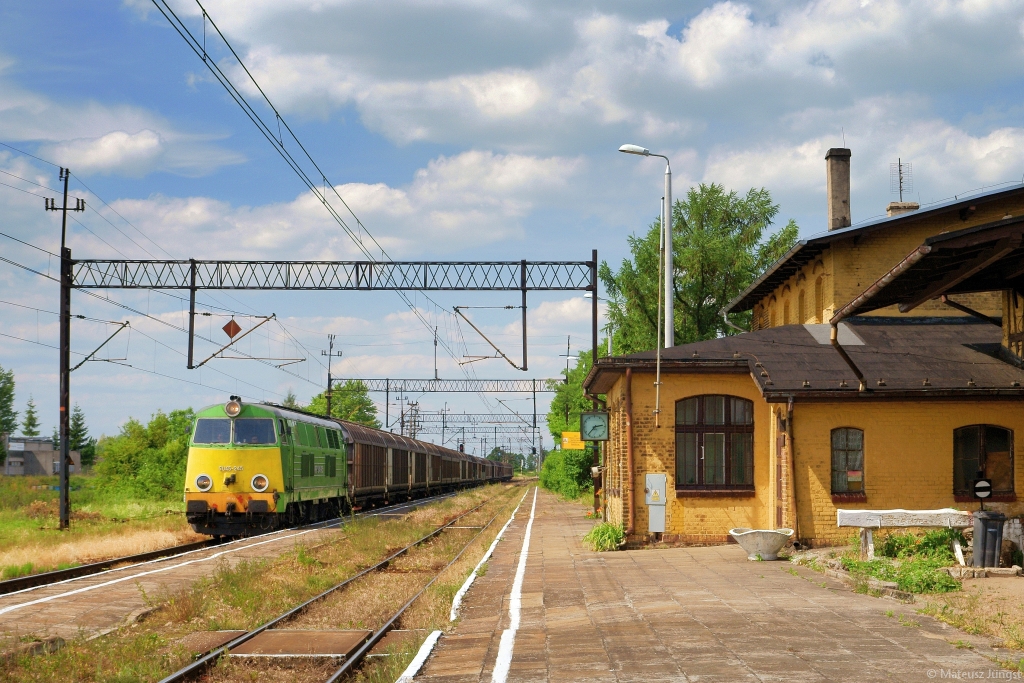 Zółtodziób z towarem