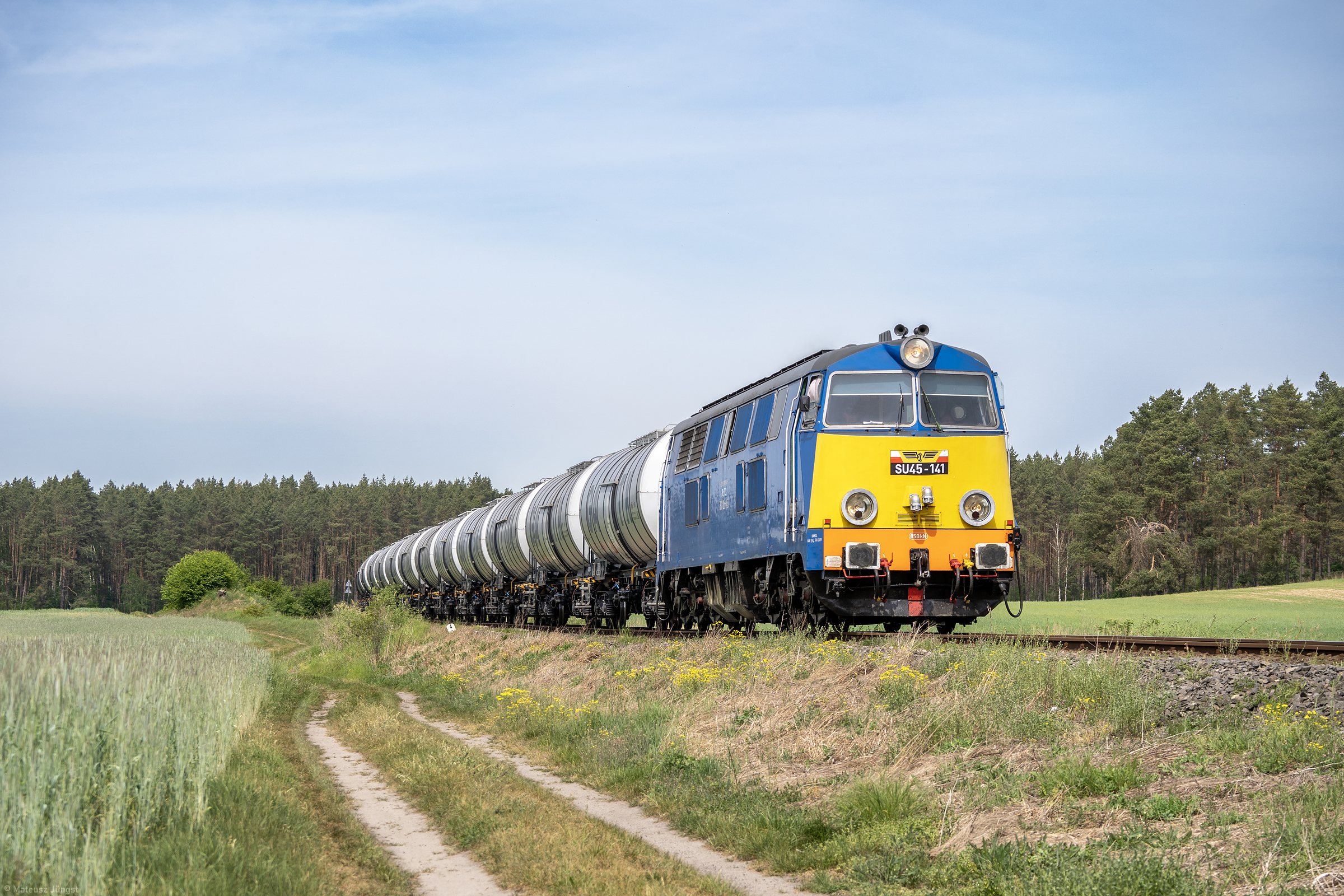 Wciąż na służbie