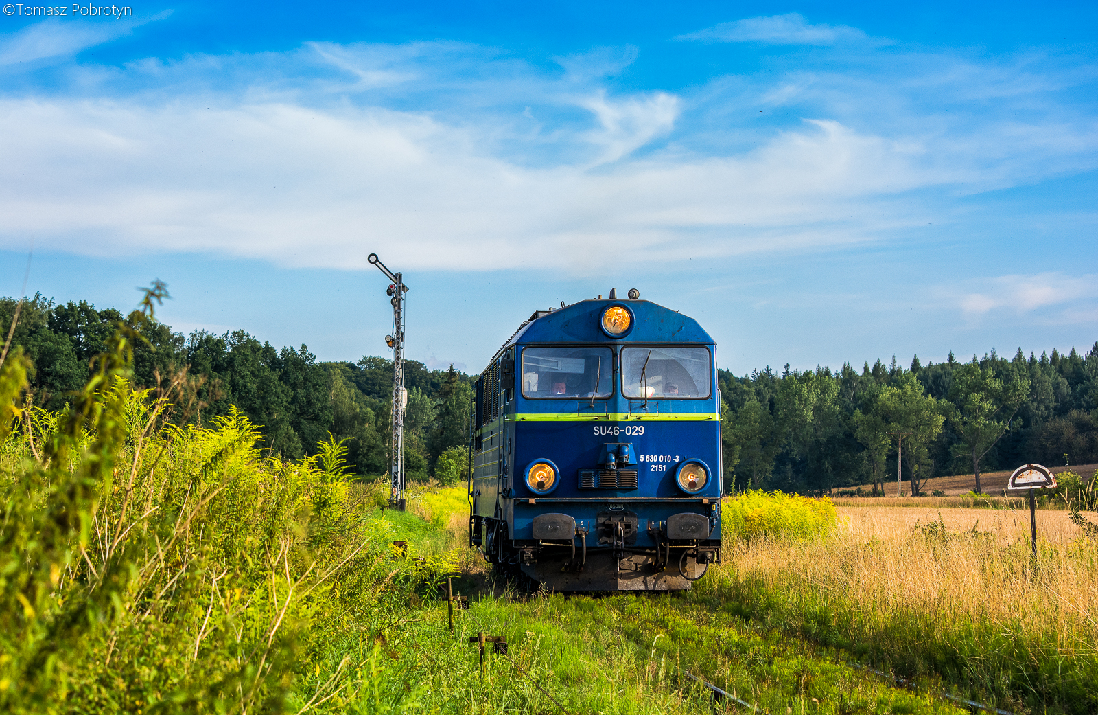 029 zanim była modna