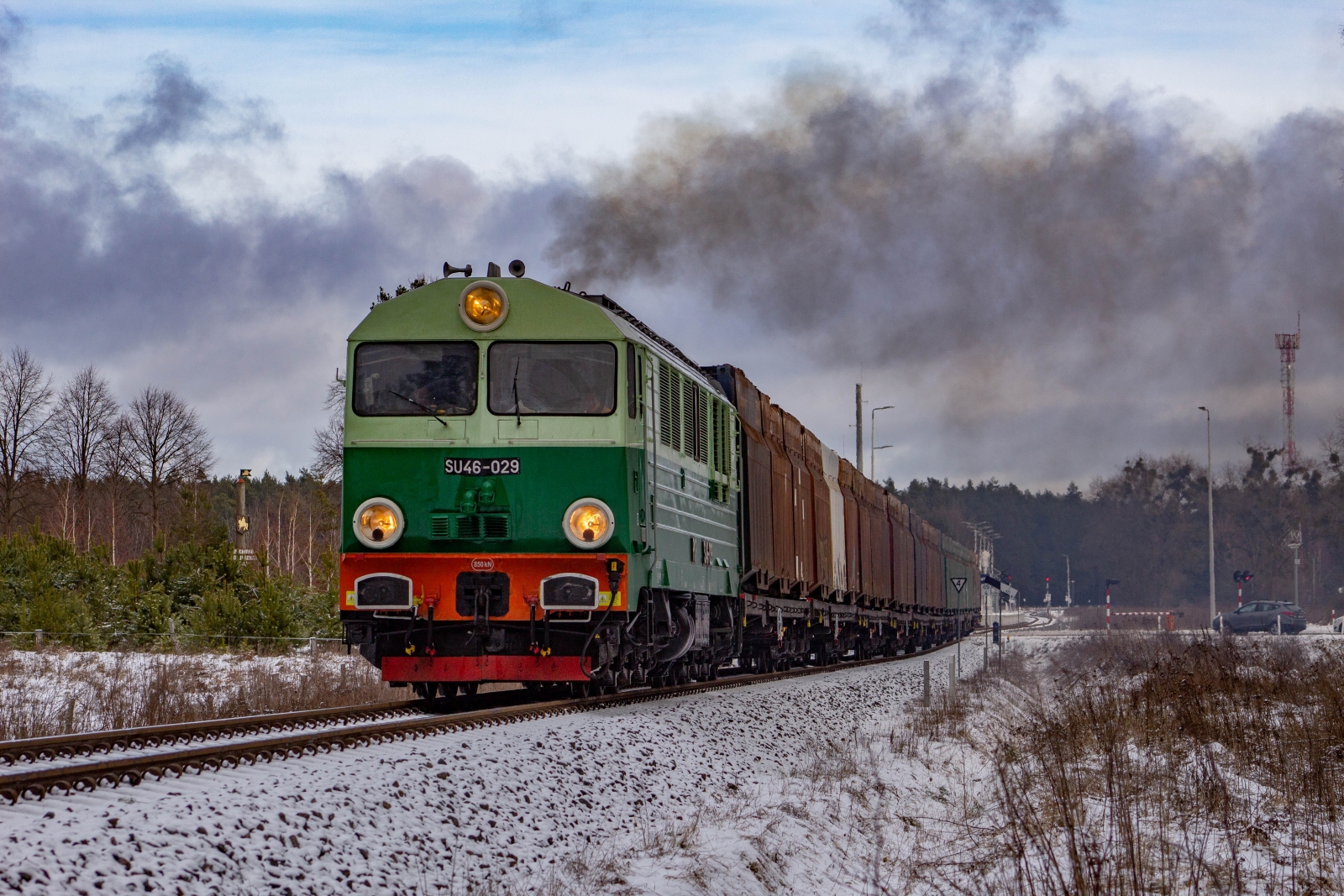 Suka w grodzie Juranda