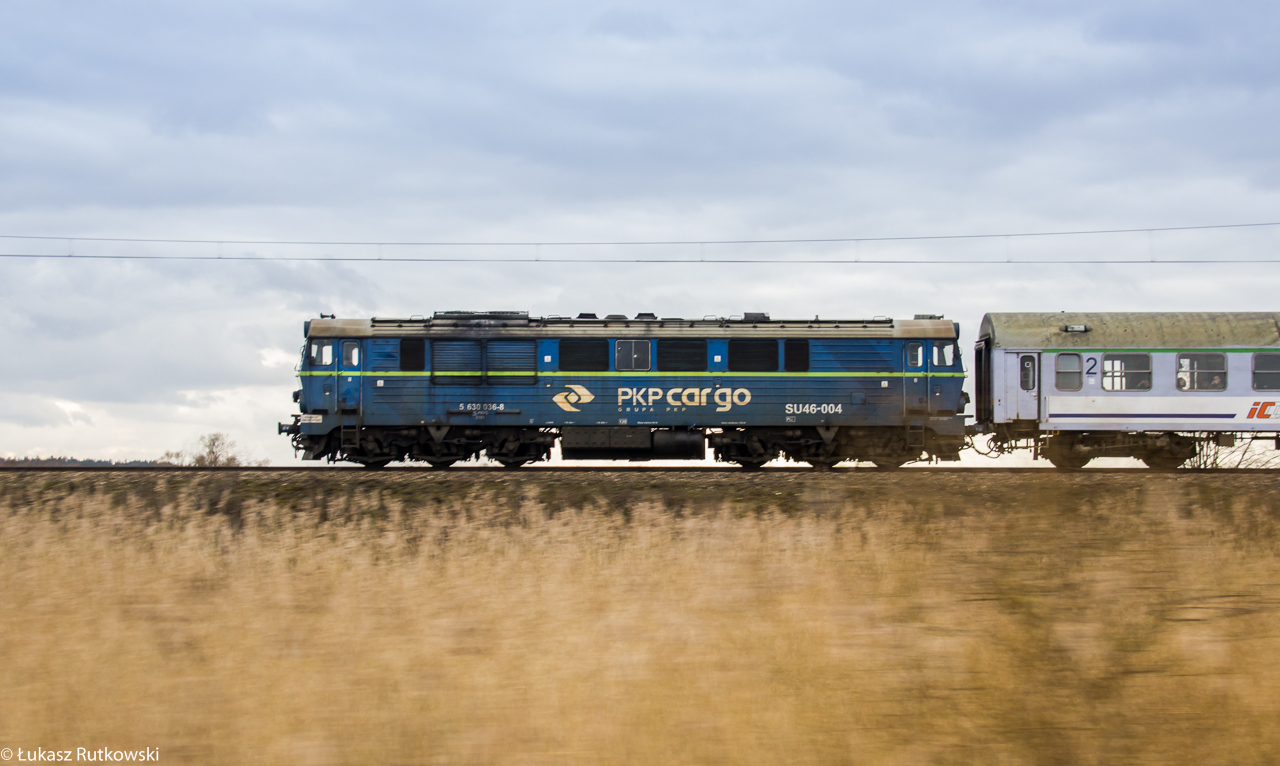 SUka na łonie przyrody