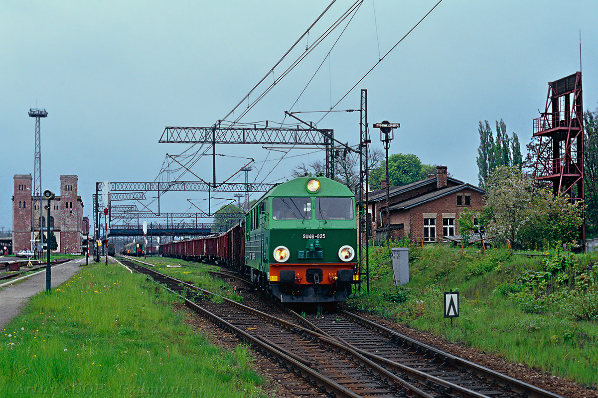 Kształtowa tarcza rozrządowa