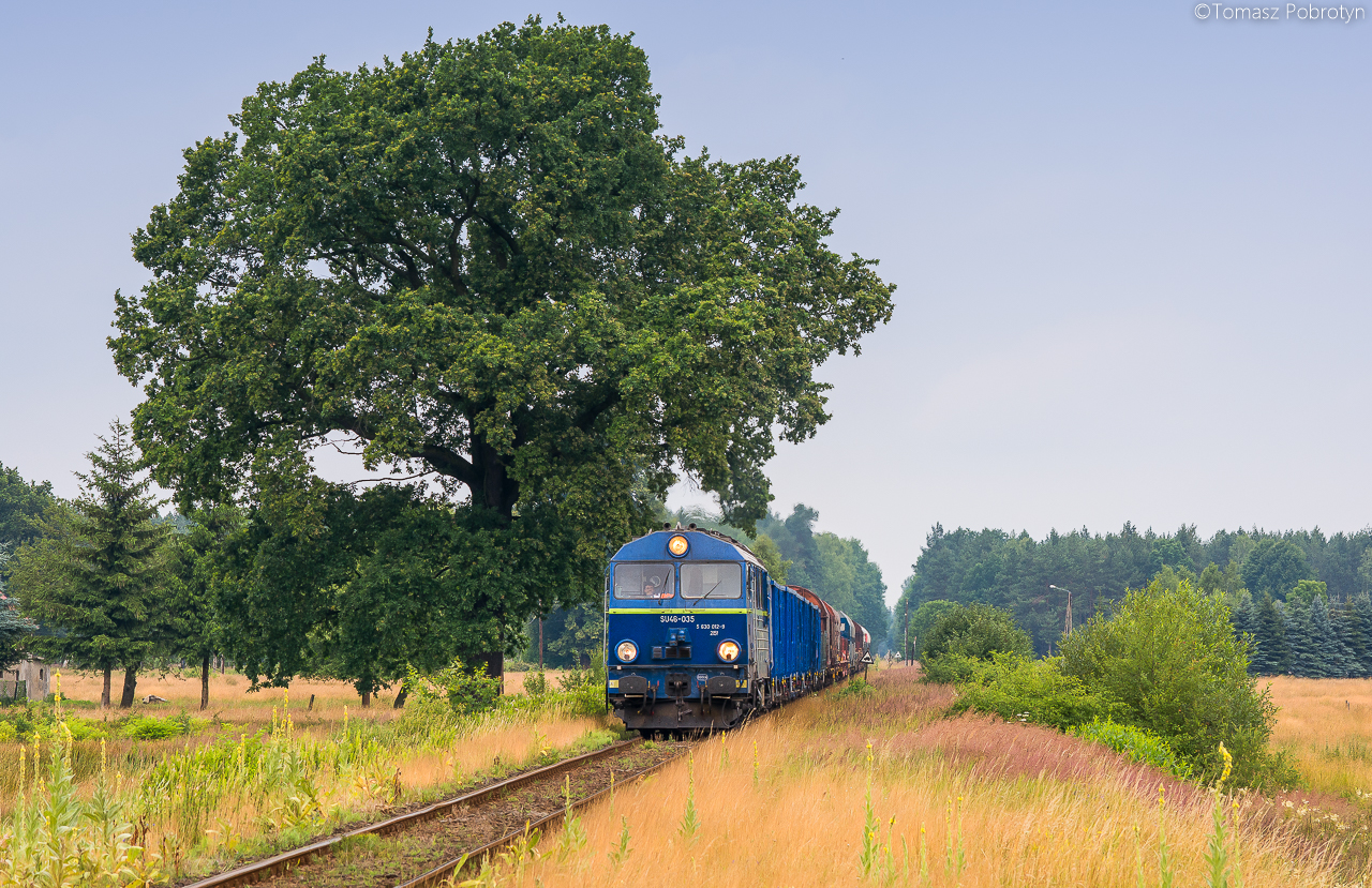 Celebryta wśród drzew!