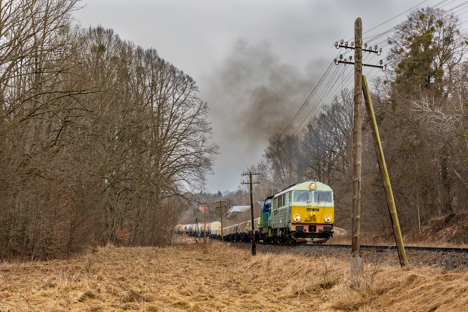 Przedwiośnie na Warmii
