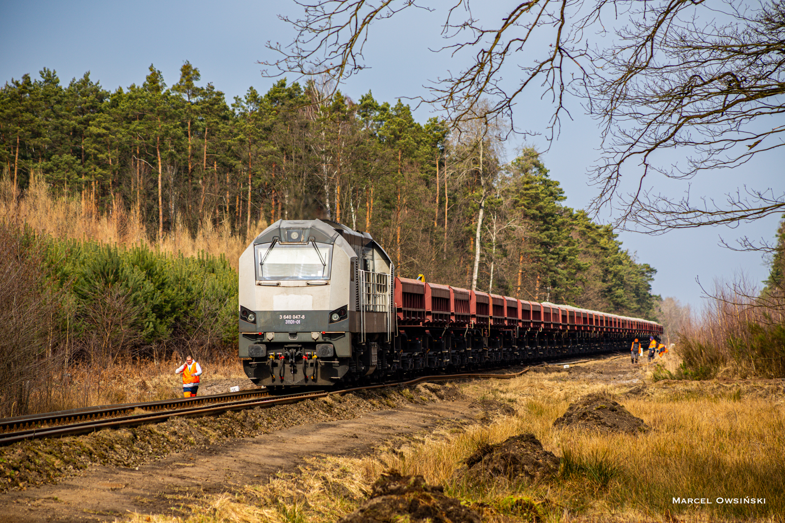 311D1-01 (nowy w IGL) na rozładunku na LK301