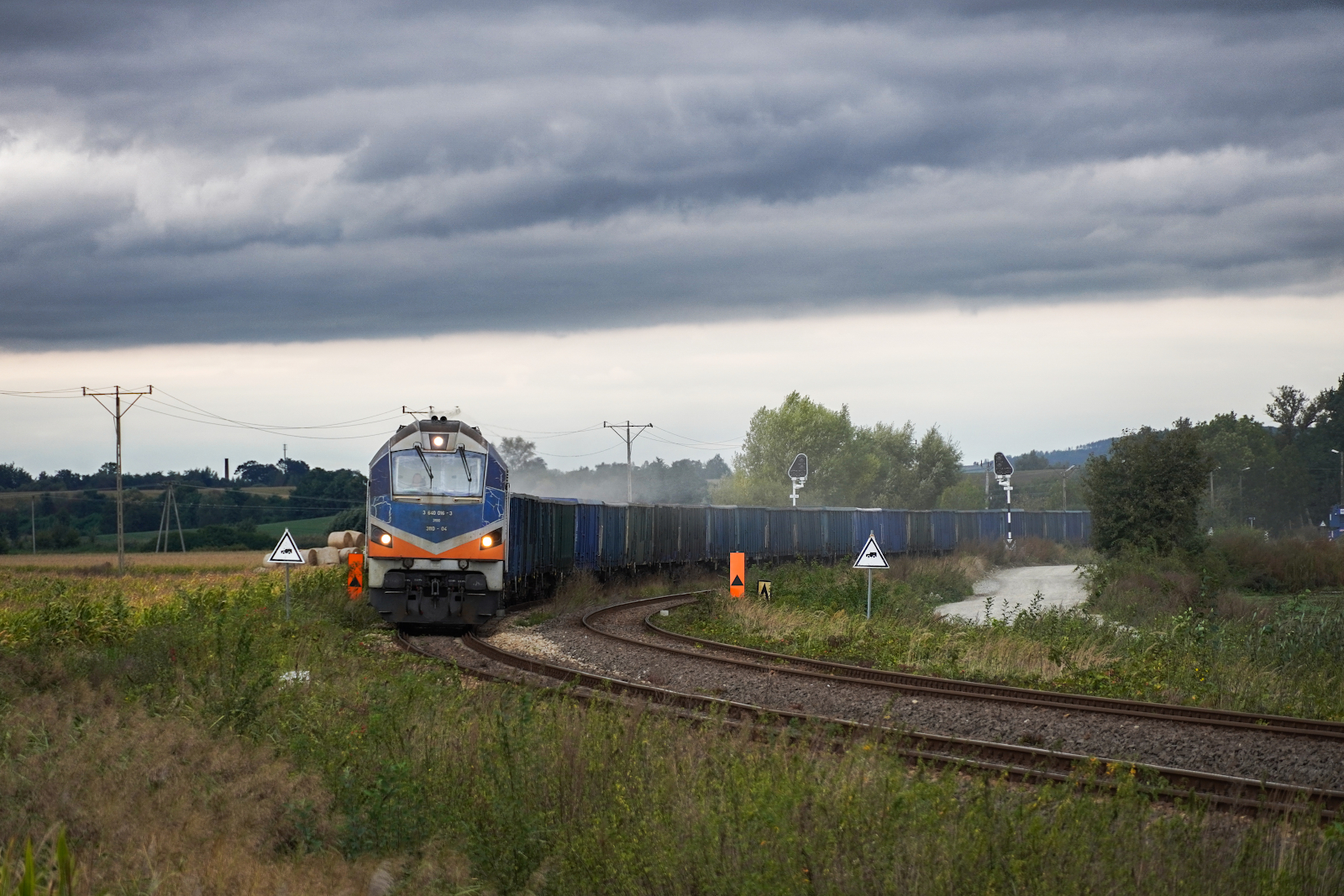 Zdążyć przed deszczem