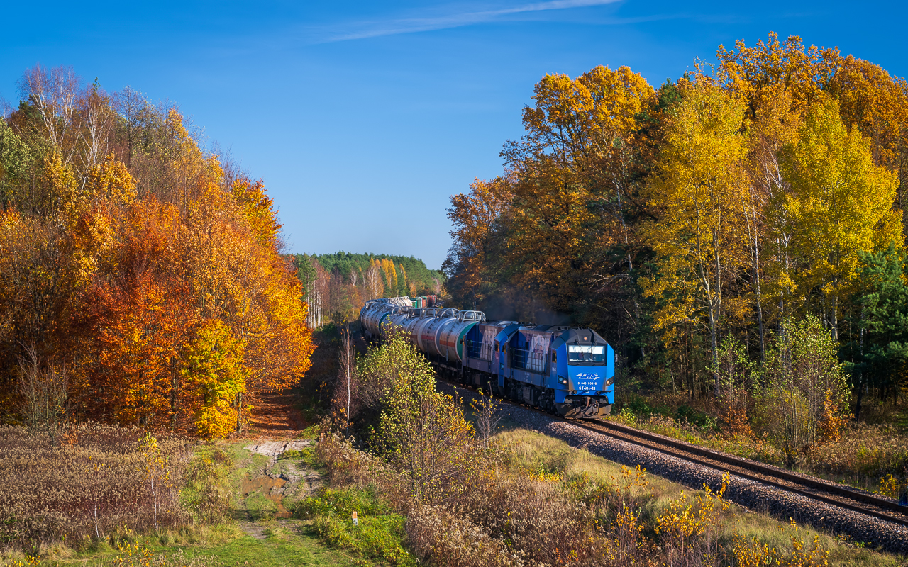 Złota Puszcza Sandomierska