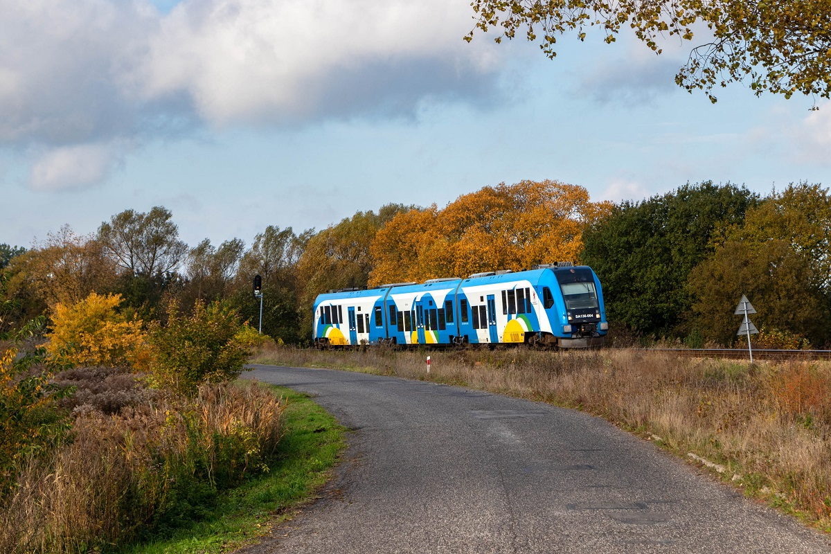 SA136-004 jesienią