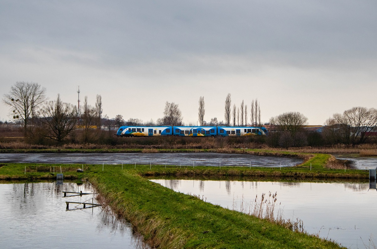 Nad stawami w Goleniowie