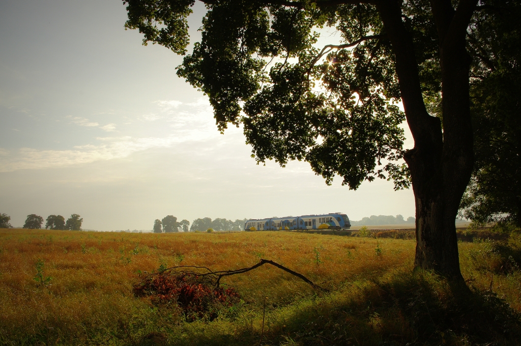 Sierpniowy poranek w Tucznie Krajeńskim