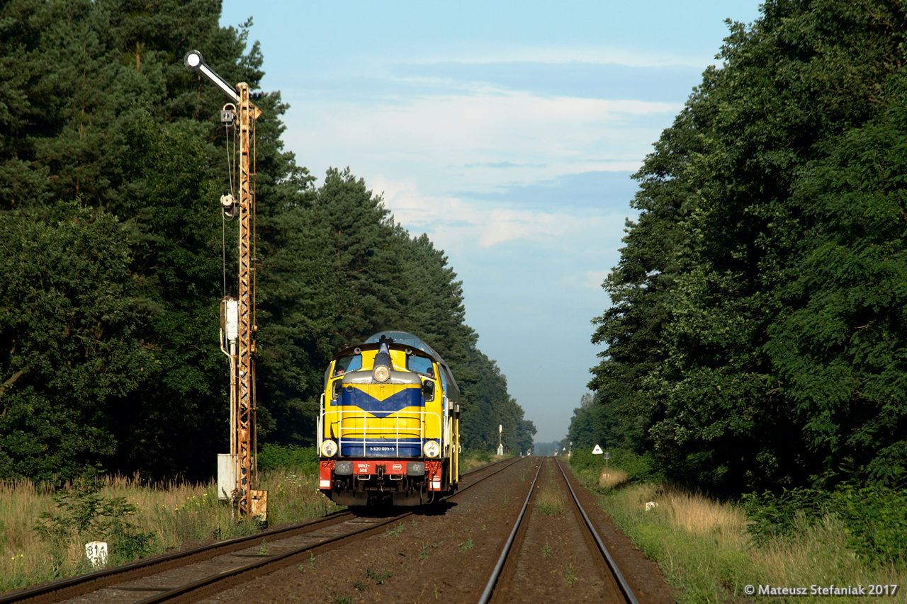 Polsat w Nowinach Wielkich