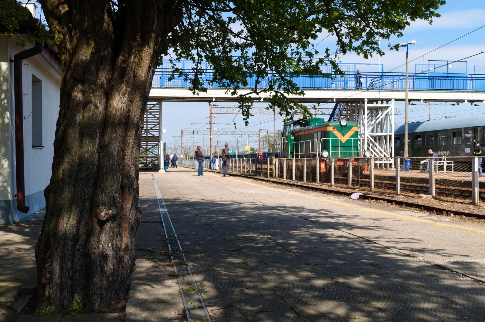 Manewry w Ostrołęce