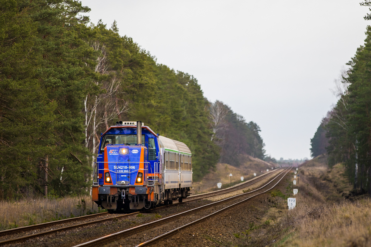 Kiosk w środku lasu