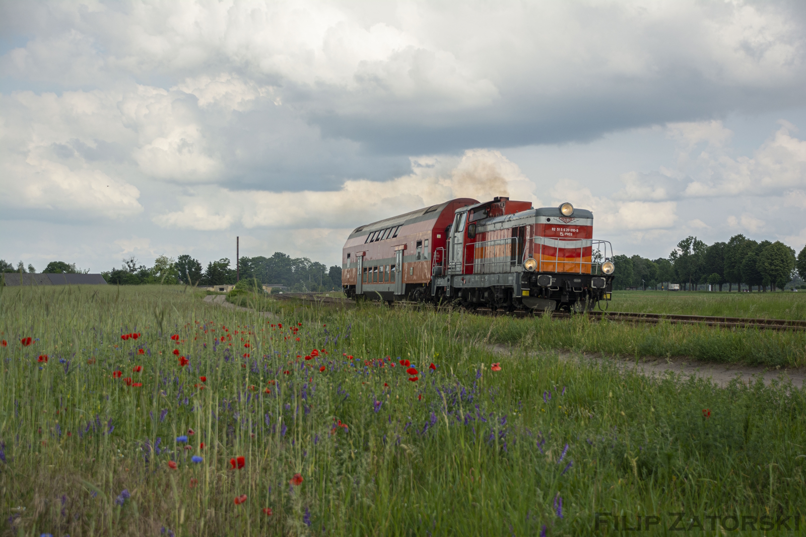 Zdjęcie maku i zaszynobus w tle