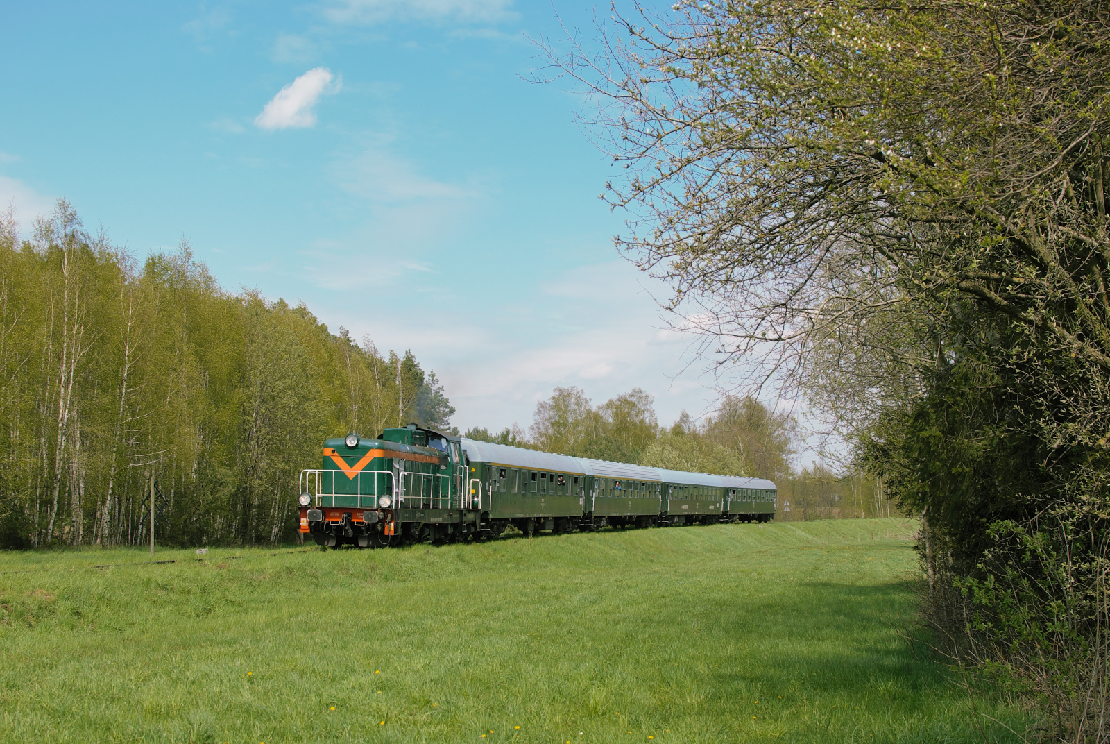 Jaskółka z Łomży