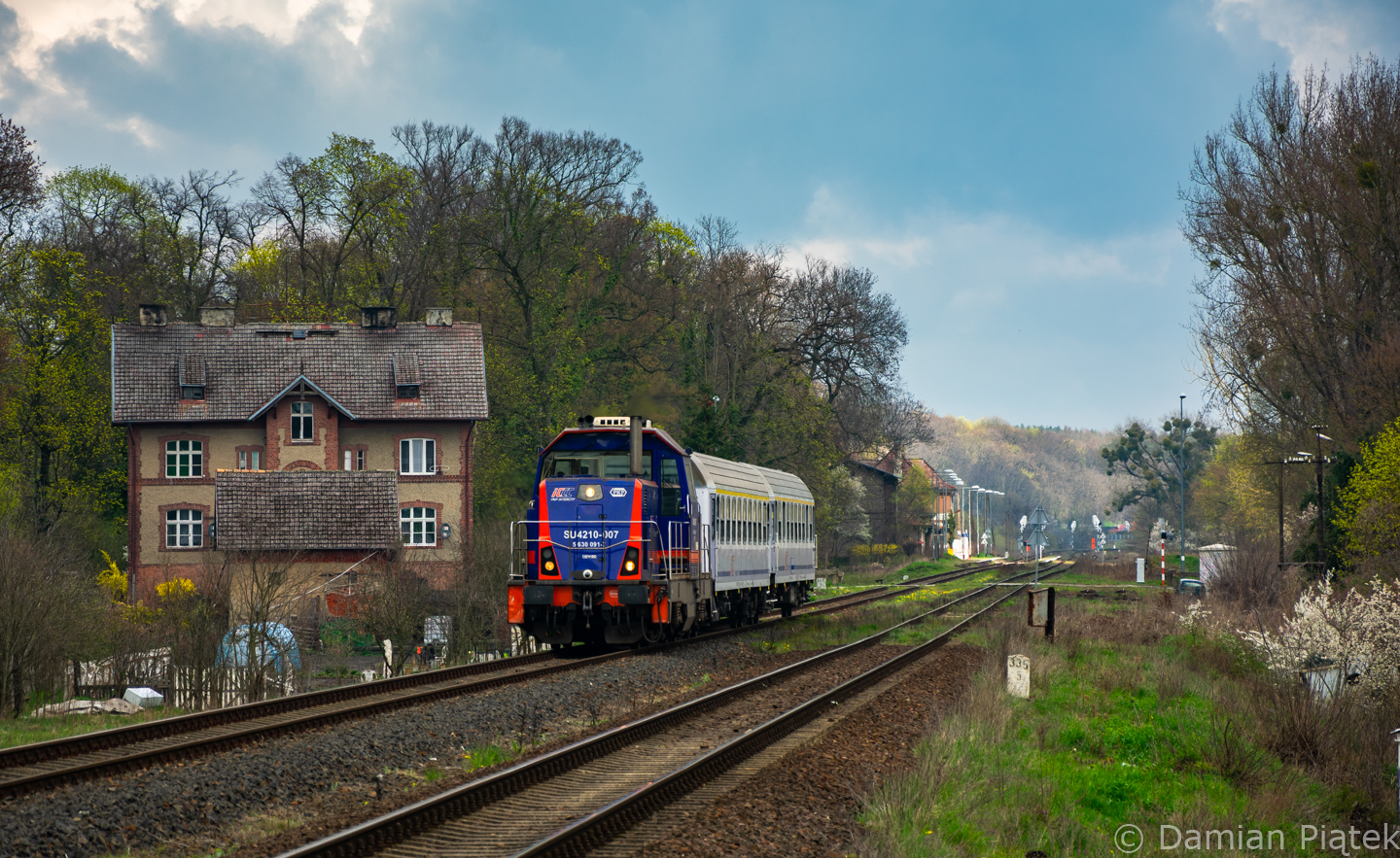 Bory Tucholskie w Dąbroszynie