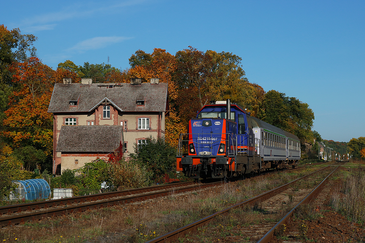 Bory Tucholskie w jesiennym Dąbroszynie