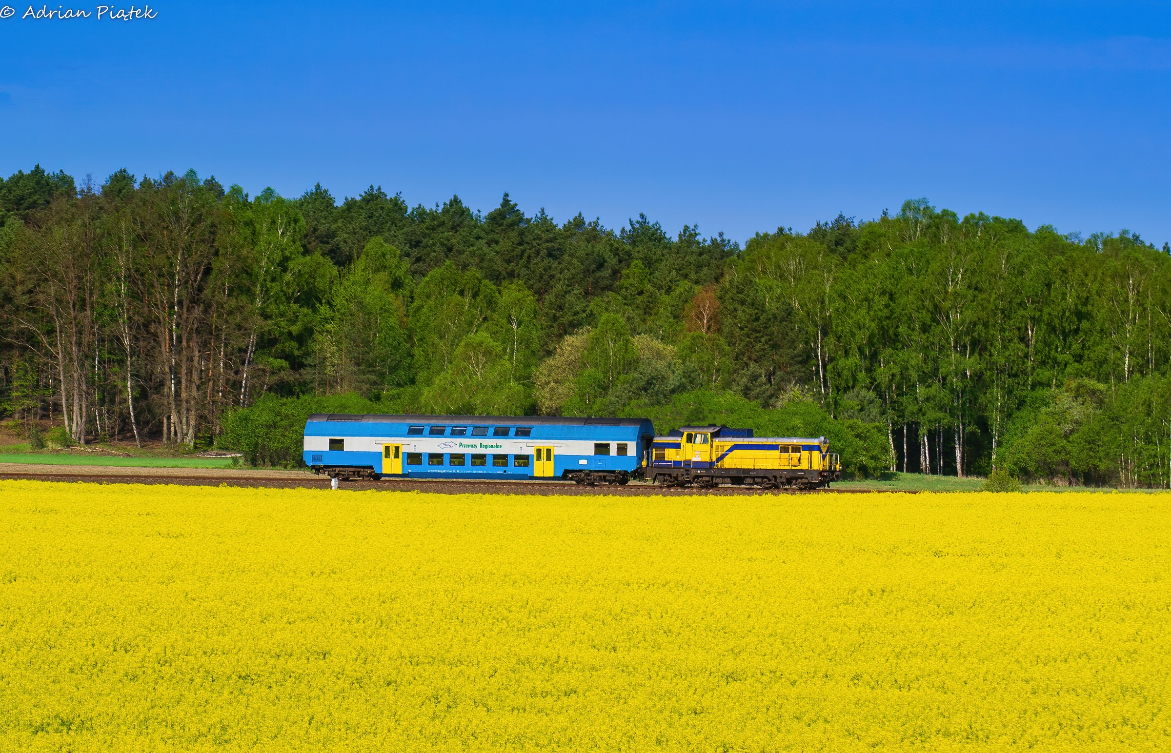 Gdy kolory się zgrywają