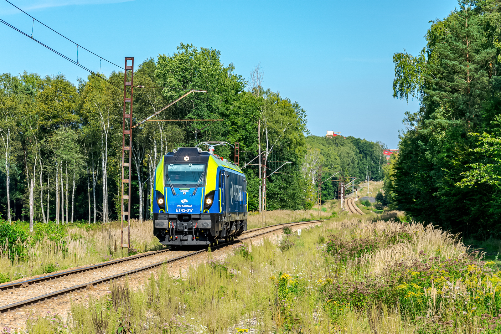 Dragon na trzech garbach