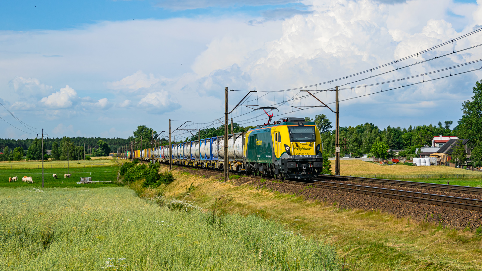 Freightliner na węglówce