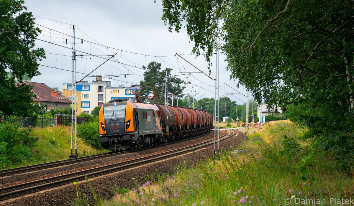 Trzebinia na Dragonie