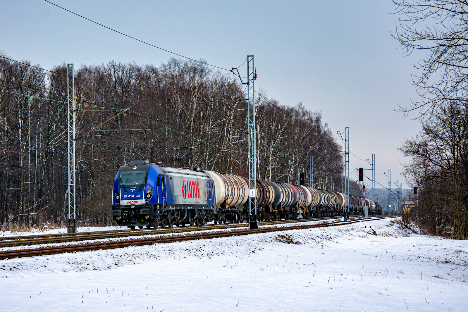 Dragon w zimowym klimacie