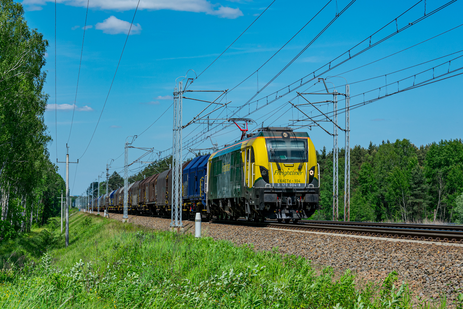 Najsilniejsi w lesie