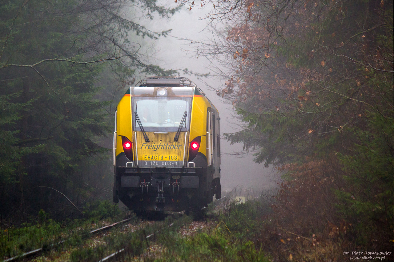 Dragon ucieka do lasu