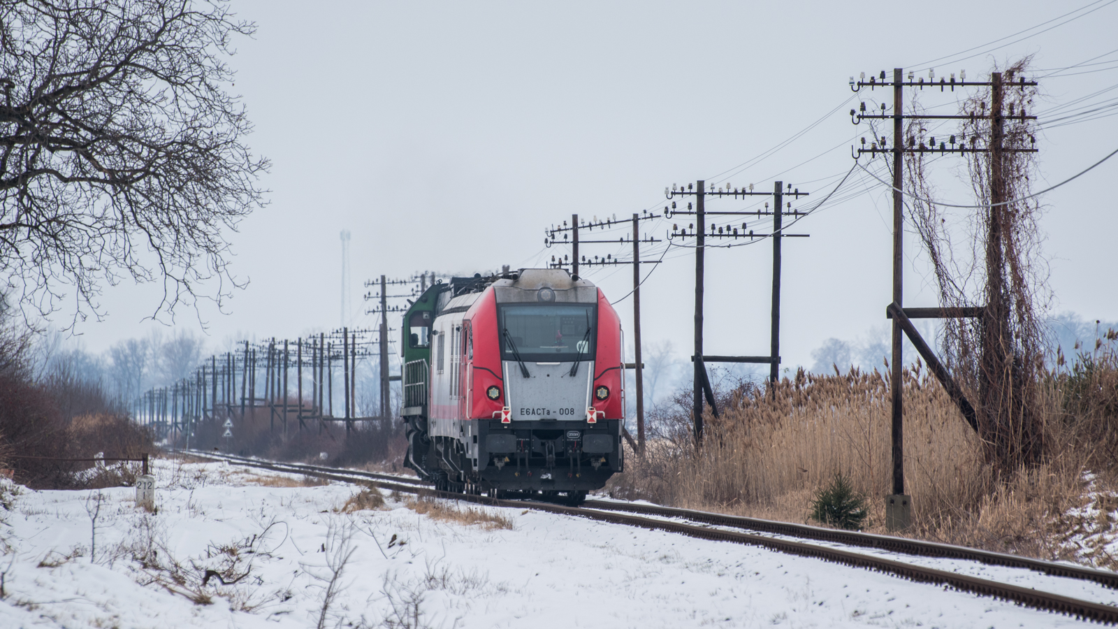 Cecha charakterystyczna Podsudeckiej