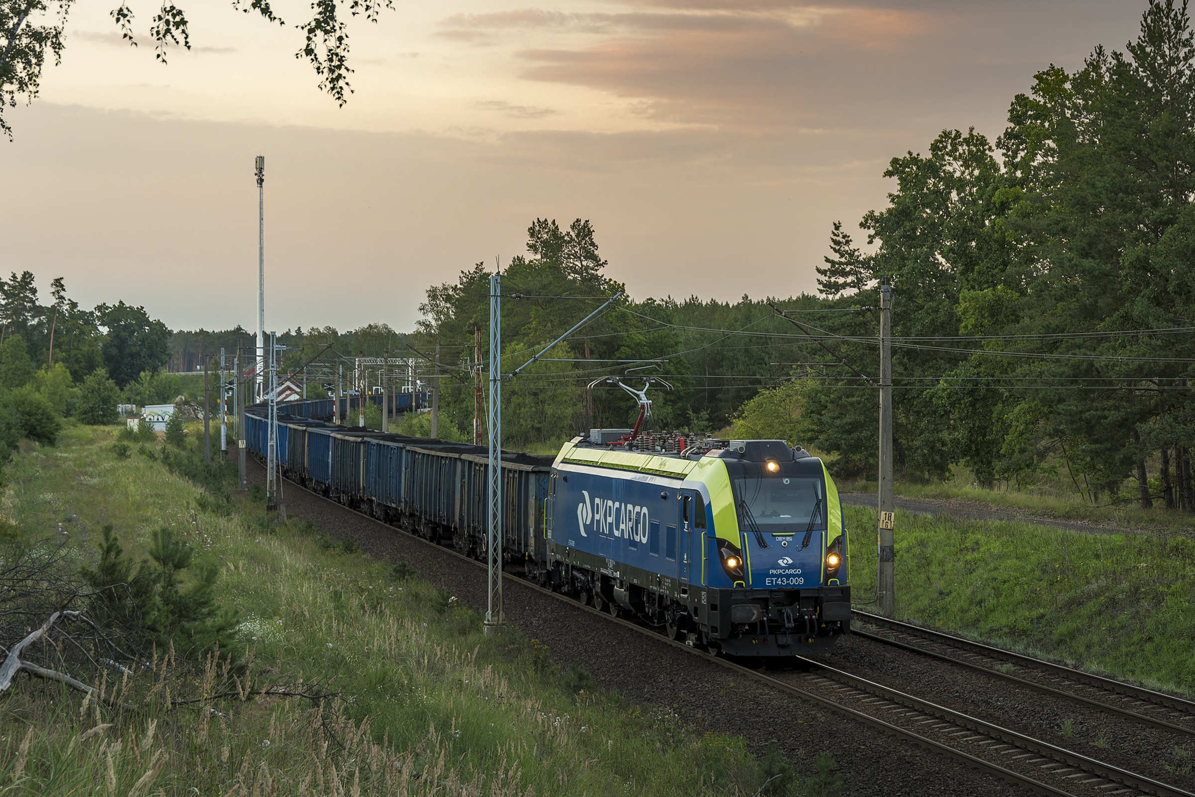 W oczekiwani na Dolatę