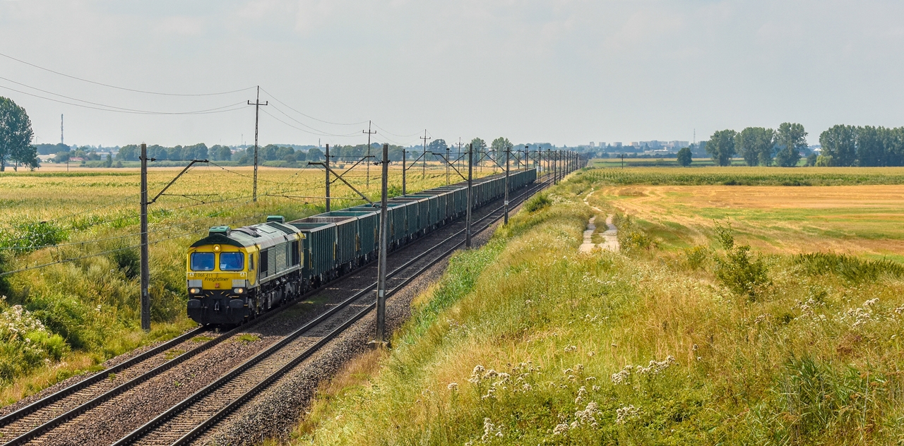 Freightliner do Nidy...