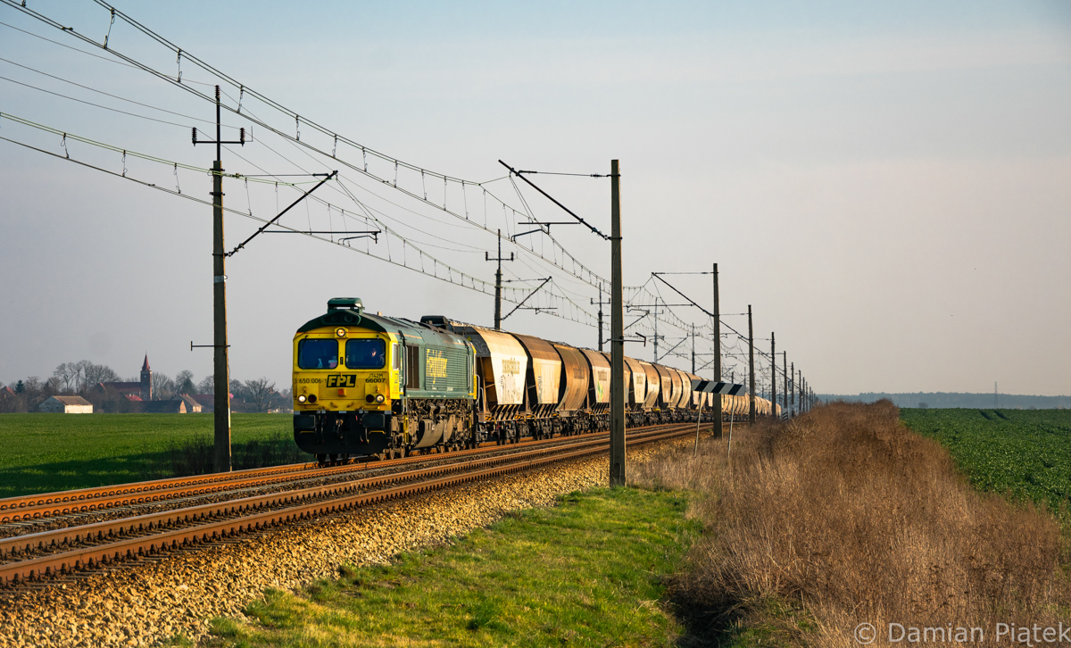 Szerszeń ze zbożówkami